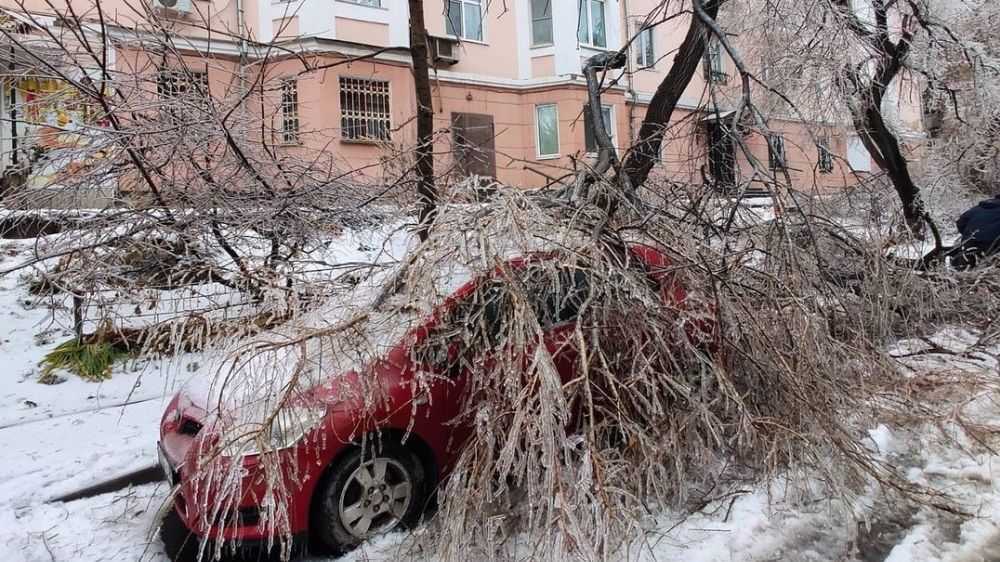 Москва 2010 ледяной дождь