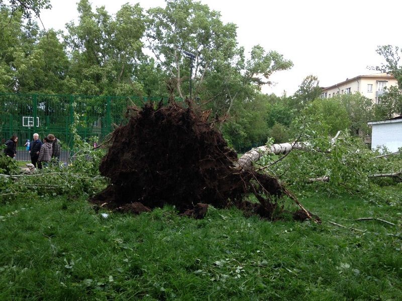 Ураган в москве сегодня куда движется. Ураган в Москве 1998. Ураган в Москве 1998 Кремль. Ураган в Москве. Самый сильный ураган в Москве 1998.