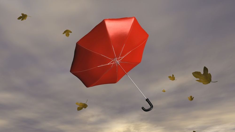 Зонт на ветру