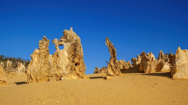 Десятки тысяч посетителей фестиваля Burning Man застряли в пустыне из-за ливней - Чемпионат